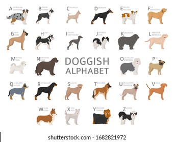 Doggish alphabet for dog lovers. Letters of the alphabet with the names of the dog breeds. Vector illustration