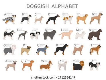 Doggish alphabet for dog lovers. Letters of the alphabet with the names of the dog breeds. Vector illustration