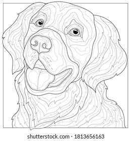 
Dog.Golden Retriever.Animal.Coloring book antistress for children and adults. Illustration isolated on white background.Black and white drawing.Zen-tangle style.