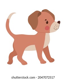 doggy face illustration over white