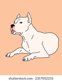 Dogo Argentino Hund liegt herunter