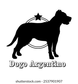 Dogo Argentino Hund Silhouette, Hund, Hunderassen, Logo, Vektor, Silhouette, Logo-Design, Tier, Illustration, Symbol, Zeichen, Design, schwarz, Symbol, Haustier