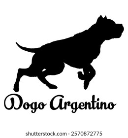 Dogo Argentino. dog silhouette, dog breeds, logo, vector, silhouette,  animal, illustration, icon, sign, design, black, symbol, pet, love
