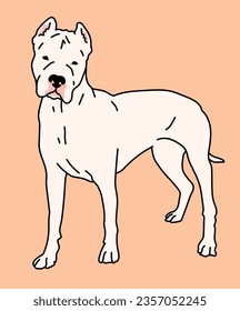 Dogo Argentino Hund Standseitenansicht