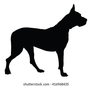 Dogo Argentino shape shadow. Argentine Mastiff purebred dog standing vector silhouette illustration isolated. Great Dane, Mastiff, the dog. Black dog silhouette.