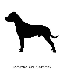 Dogo Argention Silhouette Vector Illustration