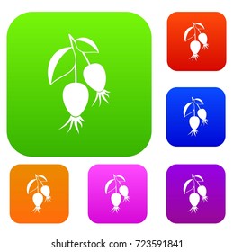 Dogrose berries branch set icon color in flat style isolated on white. Collection sings vector illustration