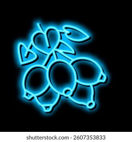 dogrose berry neon light sign vector. dogrose berry illustration