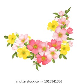 Dog-rose blooms. wild rose vector illustration
