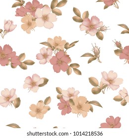 Perro-rosa florece. patrón transparente de Vector rosa salvaje