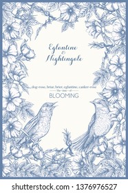 Dog-rose, briar, brier, eglantine, canker-rose and nightingale. Template for wedding invitation, greeting card, gift voucher. Graphic drawing, engraving style. Vector illustration in blue and white.