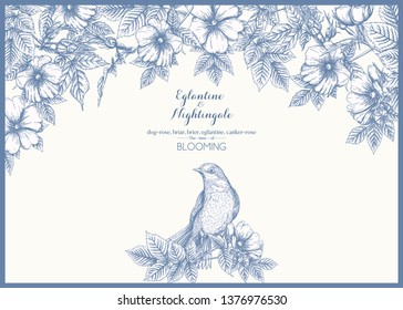 Dog-rose, briar, brier, eglantine, canker-rose and nightingale. Template for wedding invitation, greeting card, gift voucher. Graphic drawing, engraving style. Vector illustration in blue and white.