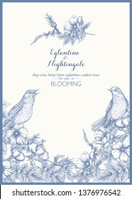 Dog-rose, briar, brier, eglantine, canker-rose and nightingale. Template for wedding invitation, greeting card, gift voucher. Graphic drawing, engraving style. Vector illustration in blue and white.