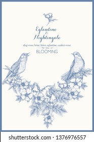 Dog-rose, briar, brier, eglantine, canker-rose and nightingale. Template for wedding invitation, greeting card, gift voucher. Graphic drawing, engraving style. Vector illustration in blue and white.