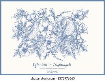 Dog-rose, briar, brier, eglantine, canker-rose and nightingale. Template for wedding invitation, greeting card, gift voucher. Graphic drawing, engraving style. Vector illustration in blue and white.