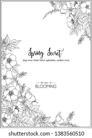 Dog-rose, briar, brier, eglantine, canker-rose. Template for wedding invitation, greeting card, banner, gift voucher. Outline graphic. Vector illustration in black and white.