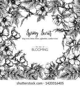 Dog-rose, briar, brier, eglantine, canker-rose. Template for wedding invitation, greeting card, banner, gift voucher. Graphic drawing, engraving style. Vector illustration in black and white.