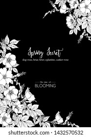 Dog-rose, briar, brier, eglantine, canker-rose. Template for wedding invitation, greeting card, banner, gift voucher. Graphic drawing. Vector illustration in black and white.
