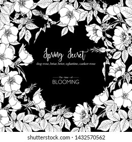 Dog-rose, briar, brier, eglantine, canker-rose. Template for wedding invitation, greeting card, banner, gift voucher. Graphic drawing. Vector illustration in black and white.