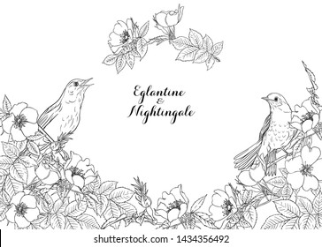 Dog-rose, briar, brier, eglantine, canker-rose and nightingale. Template for wedding invitation, greeting card, gift voucher. Graphic drawing, outline. Vector illustration.