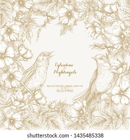 Dog-rose, briar, brier, eglantine, canker-rose and nightingale. Template for wedding invitation, greeting card, gift voucher. Graphic drawing, engraving style. Vector illustration in biege and white.