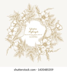 Dog-rose, briar, brier, eglantine, canker-rose and nightingale. Template for wedding invitation, greeting card, gift voucher. Graphic drawing, engraving style. Vector illustration in biege and white.