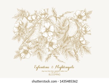 Dog-rose, briar, brier, eglantine, canker-rose and nightingale. Template for wedding invitation, greeting card, gift voucher. Graphic drawing, engraving style. Vector illustration in biege and white.