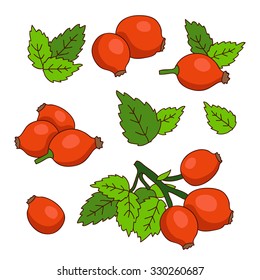 dog-rose. Colored vector icons, hand-drawn.