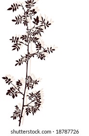 Dogrose floral design 2 - vector.