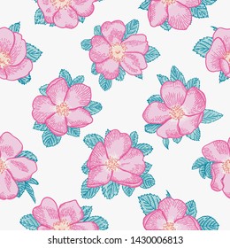 Dogrose seamless background. Purist blue background. Botanical illustration. Vector drawing.