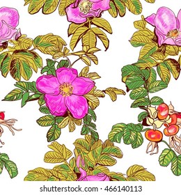 dog-rose seamless, endless background