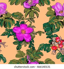 dog-rose seamless, endless background