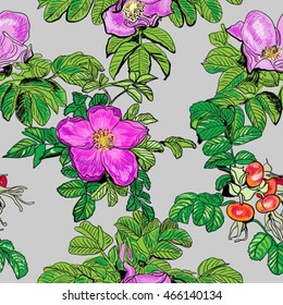 dog-rose seamless, endless background