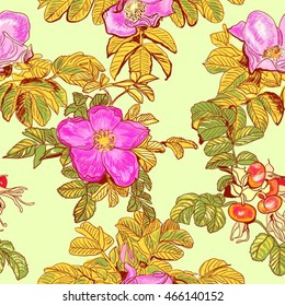dog-rose seamless, endless background