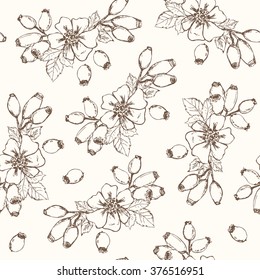 Dogrose Seamless Pattern. Collection of berries.  Vector illustration of berries for design menus, recipes and packages product.
