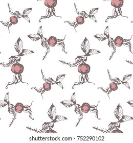 Dog-rose seamless pattern, hand-drawn rose, with leaves, thorns and berry. Vector illustration, isolated, sample in file.