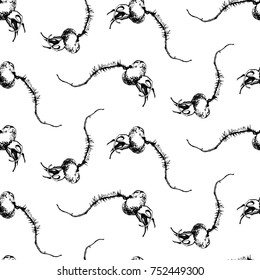 Dog-rose seamless pattern, hand-drawn rose, thorns and berry. Vector illustration, isolated, sample in file.