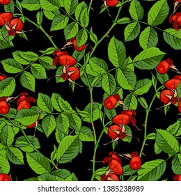 Dogrose Seamless Pattern, Luxury Wild Briar Rose. Rosehip Romance Fabric Textile Design with Black Background for Wrapping Paper, Canker Rose Gift Bag and Bramble Packaging