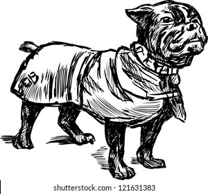 dogs