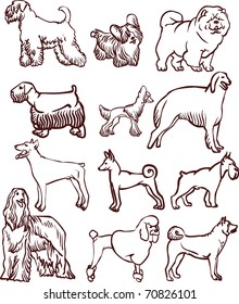 Dogs