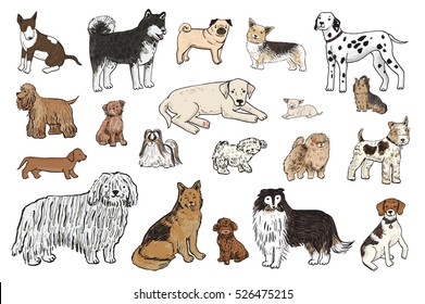 dogs animal vector color set