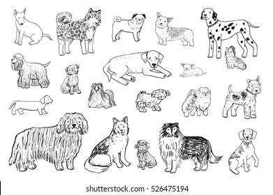 dogs animal vector line set 