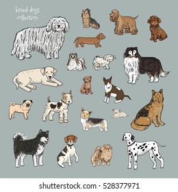 dogs animal vector set