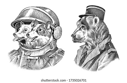 Dogs astronauts in a spacesuit. Bear in military style. Fashion Animal character label. Hand drawn sketch. Vector engraved illustration for label, logo and T-shirts or tattoo.