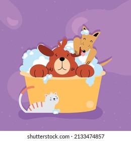 dogs in bath on purple background