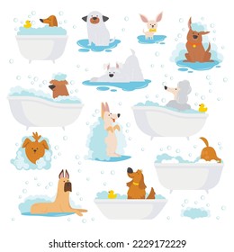 Dogs bathe flat icons set. Care of different dogs. Happy chihuahua, spaniel, poodle. Wash coat with shampoo, special organic products. Love and care for pets. Color isolated illustrations svg