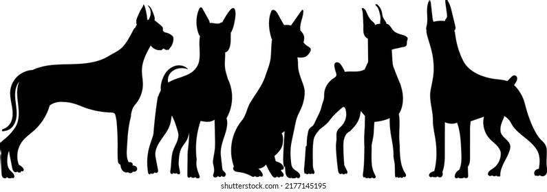 dogs black silhouette, isolated, vector