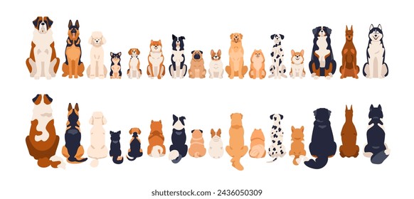 Dogs border, front and back rear views, tails. Canine animal breeds in line, sitting in row. Many different doggies, cute puppies. Flat graphic vector illustration isolated on white background