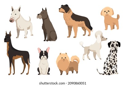 Dogs breed collection. Cute funny cartoon domestic pets characters flat vector illustration. Human friends home animals