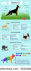 Dogs breed infographics types of dog breeds